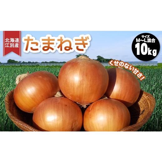 ふるさと納税 野菜類 玉ねぎ 北海道 江別市 先行受付 10月以降発送 北海道江別産 高田農場 たまねぎ 大容量10kg サイズM〜L混合 あまくて日持ちのする玉葱 E…