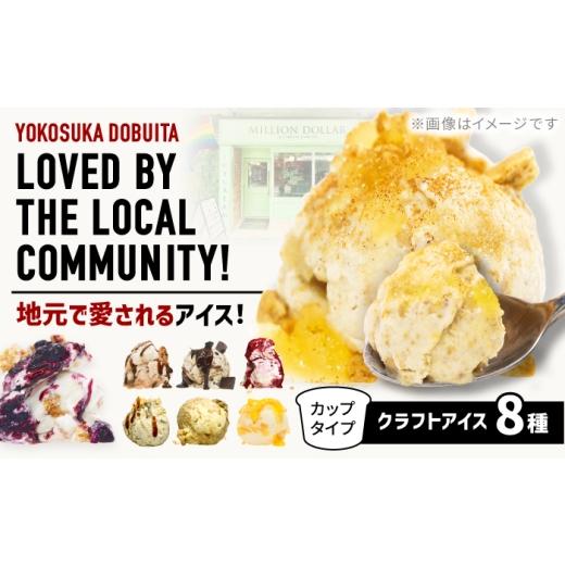 ふるさと納税 菓子 アイス 神奈川県 横須賀市 ミリオンダラーアイスクリーム8種 株式会社DADA GLOBAL