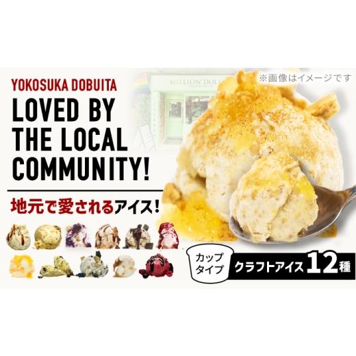 ふるさと納税 菓子 アイス 神奈川県 横須賀市 ミリオンダラーアイスクリーム12種 株式会社DADA GLOBAL