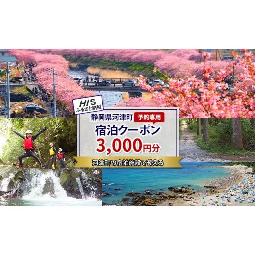 ふるさと納税 宿泊券 静岡県 河津町 HISふるさと納税宿泊予約専用クーポン(静岡県河津町)3,000円分