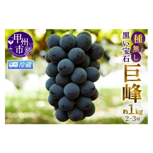 ふるさと納税 ぶどう 巨峰 山梨県 甲州市 クール便発送 甲州市産種無し巨峰 約1kg(2房〜3房) 2026年発送 (MG)B-499CO 2026年発送