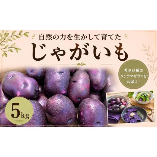 ふるさと納税 野菜類 じゃがいも 千葉県 東金市 じゃがいも タワラマゼラン 希少品種 5kg 芋 野菜 ジャガイモ 紫 黄色 ばれいしょ 馬鈴薯 根菜 季節 旬 ポテト…