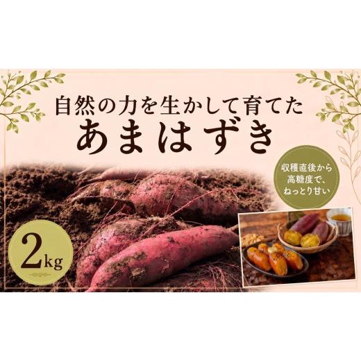 ふるさと納税 野菜類 サツマイモ 千葉県 東金市 芋 さつまいも あまはずき 2kg 旬 野菜 いも 焼き芋 やきいも imo イモ 甘い 食物繊維 ビタミンC 熟成 産地直…