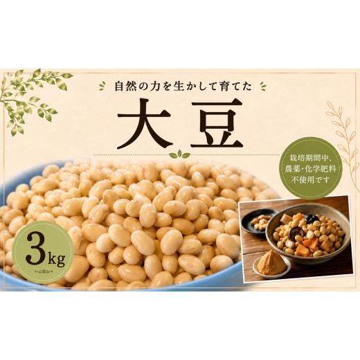 ふるさと納税 豆類 大豆 千葉県 東金市 豆 大豆 3kg だいず 栄養 タンパク質 鉄分 食物繊維 カルシウム 朝食 栄養豊富 葉酸 産地直送 味噌作り 豆腐作り 味噌…