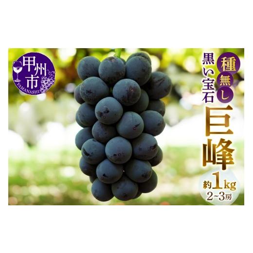ふるさと納税 ぶどう 巨峰 山梨県 甲州市 甲州市産種無し巨峰 約1kg(2房〜3房) 2026年発送 (MG)B-499 2026年発送