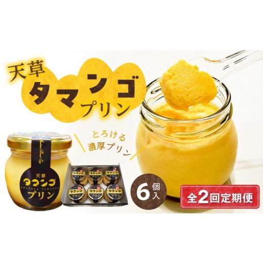 ふるさと納税 菓子 プリン 熊本県 天草市 S164-001-T02_ 定期便2回 天草タマンゴプリン6個入り 2回