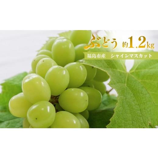 ふるさと納税 ぶどう マスカット 福島県 福島市 No.3371 アグリード 福島市産 シャインマスカット 約1.2kg(2房) 2026年発送