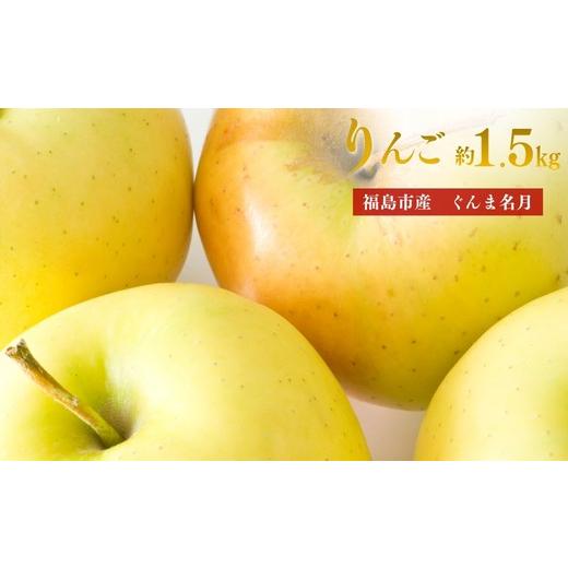 ふるさと納税 りんご 福島県 福島市 No.3372 アグリード 福島市産 りんご(ぐんま名月)約1.5kg(3〜6玉) 2026年発送