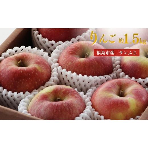 ふるさと納税 りんご 福島県 福島市 No.3374 アグリード 福島市産 りんご(サンフジ)約1.5kg(3〜6玉) 2026年発送