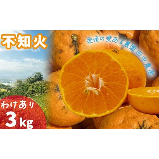 ふるさと納税 果物類 みかん 愛媛県 松山市 2027年2月下旬頃から順次発送 不知火 しらぬい 約3kg 訳あり でこぽんと同品種 愛媛産 愛媛県産 国産 愛媛みかん …