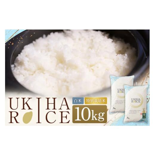 ふるさと納税 米 ヒノヒカリ 福岡県 うきは市 ふるさと納税 米 白米 精米 UKIHA RICE 10kg(5kg×2袋) 特別栽培米 ヒノヒカリ 令和7年産 こめ ご飯 コメ ご…