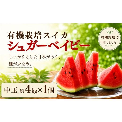 ふるさと納税 スイカ 大分県 豊後高田市 スイカ/すいか 有機栽培スイカ シュガーベイビー(スイカ) 中玉 約4kg x 1個 | スイカ 豊高スイカ すいか スイカシュ…