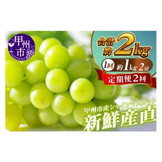 ふるさと納税 ぶどう マスカット 山梨県 甲州市 定期便 新鮮産直 甲州市・シャインマスカット2回定期便 2026年発送 (KSF)B16-125 2026年発送