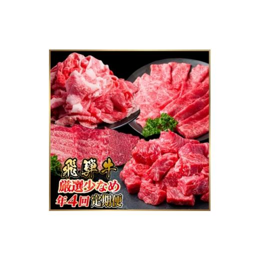 ふるさと納税 牛肉 ステーキ 岐阜県 羽島市 発送月固定定期便 飛騨牛 計1.5kg すき焼き・しゃぶしゃぶ・BBQ用 赤身 切り落とし全4回 4090773