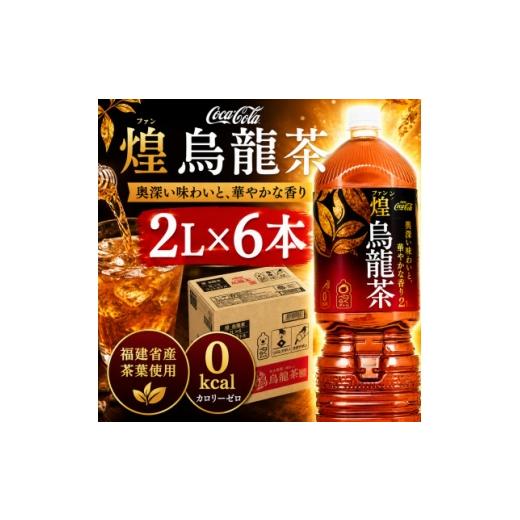 ふるさと納税 お茶類 愛知県 東海市 日本コカ・コーラ 煌(ファン) 烏龍茶 2L×6本 ペットボトル ケース 1770343