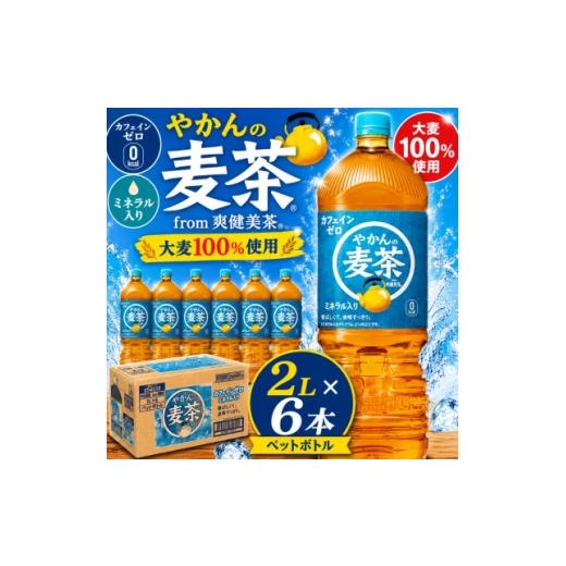 ふるさと納税 お茶類 愛知県 東海市 日本コカ・コーラ やかんの麦茶 from 爽健美茶 2L×6本 ペットボトル ケース 1770346