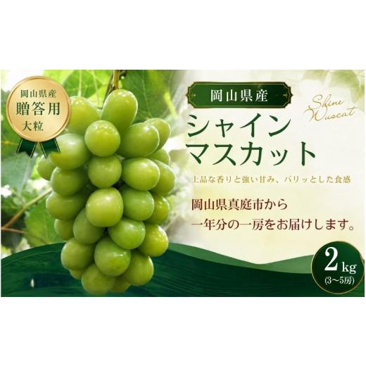 ふるさと納税 ぶどう マスカット 岡山県 真庭市 2026年先行予約 「岡山から一年分の一房を」岡山県産贈答用大粒シャインマスカット 2kg| シャインマスカット…