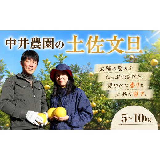 ふるさと納税 みかん・柑橘類 高知県 宿毛市 中井農園の土佐文旦 5kg 家庭用 家庭用 約5kg (9,000円)