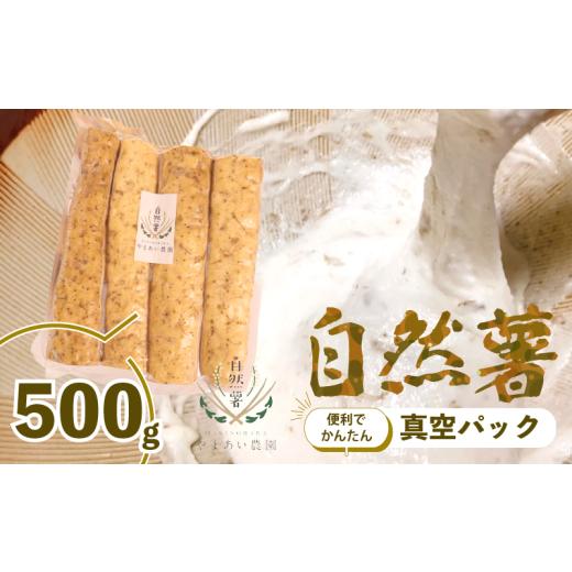 ふるさと納税 野菜類 山菜 静岡県 牧之原市 2026年度予約受付 500g 自然薯 真空パック 使い切り パック 便利 じねんじょ 山芋 ヤマイモ 山いも とろろ とろろ…