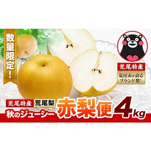 ふるさと納税 梨 熊本県 荒尾市 梨 荒尾梨 あきづき または 新高 ジューシー赤梨便 4kg 品種 なし フルーツ 果物 旬 [2026年8月下旬‐11月中旬頃出荷]熊本県…