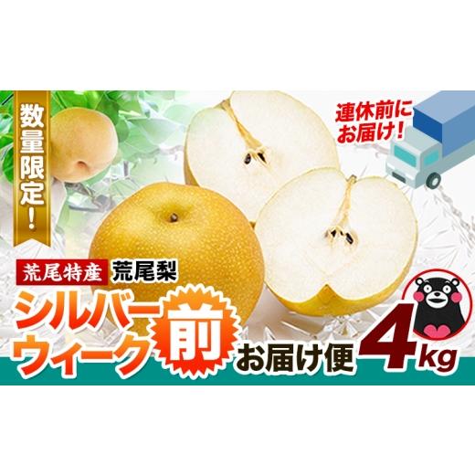 ふるさと納税 梨 熊本県 荒尾市 梨 荒尾梨 シルバーウィーク前お届け便 4kg 品種 なし フルーツ 果物 旬 [2026年9月上旬-9月中旬頃出荷]熊本県 荒尾市 旬の…
