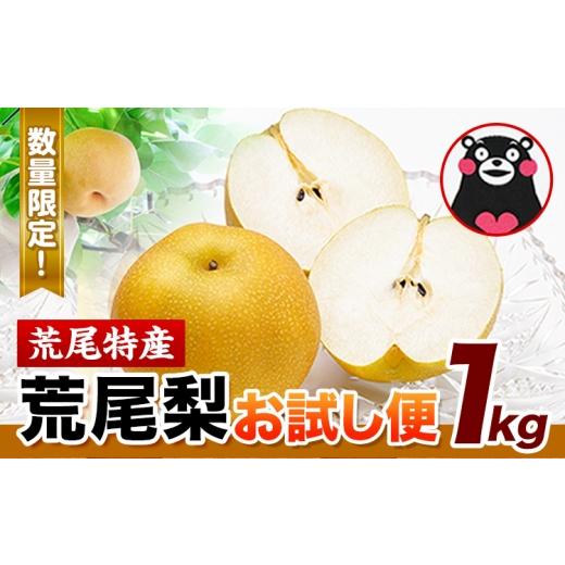 ふるさと納税 梨 熊本県 荒尾市 梨 荒尾梨 お試し 1kg 品種 なし フルーツ 果物 旬 [2026年8月下旬‐11月中旬頃出荷]熊本県 荒尾市 旬の梨 幸水 秋麗 豊水 …