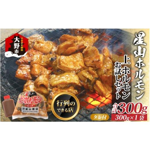 ふるさと納税 豚肉 ホルモン 福井県 大野市 お試しセット 全国ホルモン大会初代優勝 星山ホルモン ミックスホルモン(上ホルモン) 300g 1袋 (たれ付) 行列の…