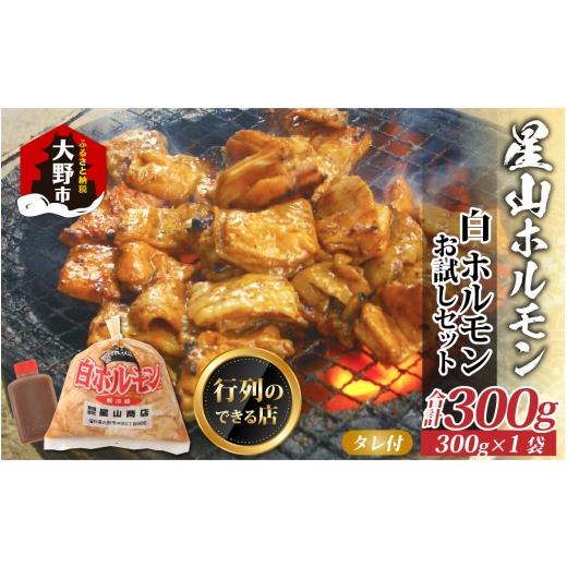 ふるさと納税 豚肉 ホルモン 福井県 大野市 お試しセット 全国ホルモン大会初代優勝 星山ホルモン 白 ホルモン 300g 1袋 (たれ付) 行列のできるお店 | 焼肉 …