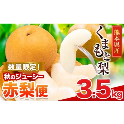 ふるさと納税 梨 熊本県 長洲町 梨 くまもと梨 秋 旬 なし 果物 くだもの フルーツ 送料無料 あきづき または 新高 ジューシー赤梨便 3.5kg 品種 熊本県産 着…