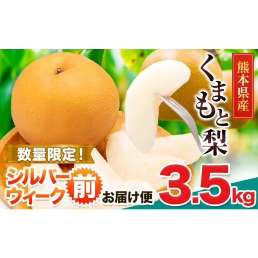 ふるさと納税 梨 熊本県 長洲町 梨 くまもと梨 シルバーウィーク前お届け便 3.5kg 秋 旬 なし 幸水 豊水 果物 くだもの フルーツ 送料無料 あきづき 甘太 新高…