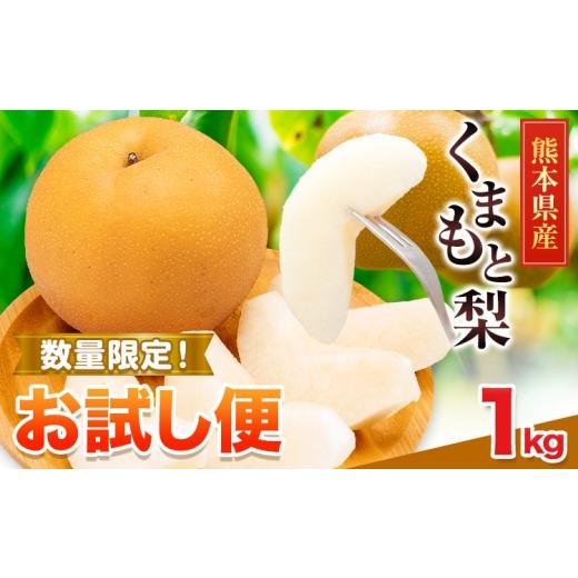 ふるさと納税 梨 熊本県 長洲町 梨 くまもと梨 お試し 1kg 2玉〜5玉 秋 旬 なし 幸水 豊水 果物 くだもの フルーツ 送料無料 あきづき 甘太 新高 新興 品種 熊…