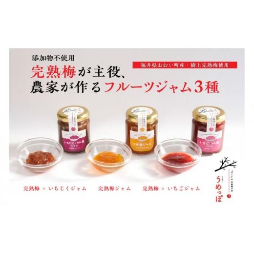ふるさと納税 ジャム 福井県 おおい町 おおい町産完熟梅と地域の果実で作ったすっきり美味しいジャム3種セット
