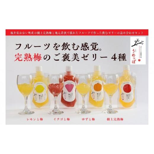 ふるさと納税 菓子 ゼリー 福井県 おおい町 おおい町産希少梅の完熟梅と地域の果実で作ったゼリーセット4種(梅、いちご、柚子、レモン)9本入り