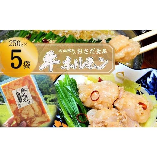 ふるさと納税 牛肉 ホルモン 岐阜県 下呂市 牛ホルモン 網焼き用(250g×5袋) 飛騨 牛肉 ホルモン BBQ 味付け 贈答 ギフト もつ鍋 飛騨 味職人 (250g×5袋 …