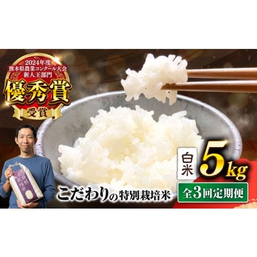 ふるさと納税 米 熊本県 合志市 全3回定期便 令和7年産 くまさんの輝き 白米 5kg 計15kg / 白米 米 お米 こめ コメ kome 精米 定期便 毎月 月1回 5kg くまさ…