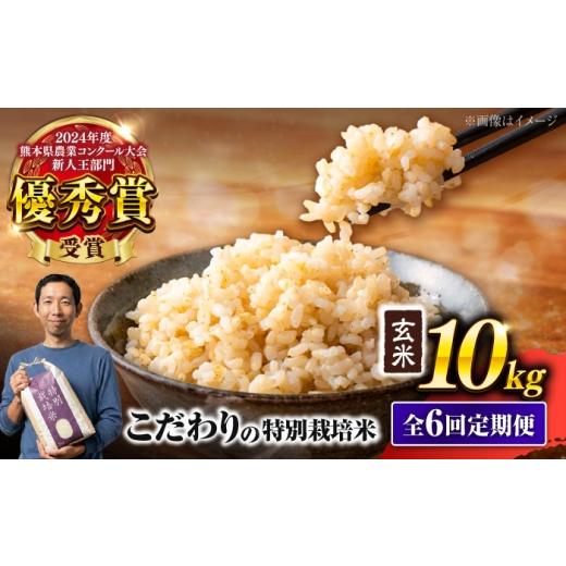 ふるさと納税 米 熊本県 合志市 令和7年度 全6回定期便 くまさんの輝き 玄米 10kg 計60kg 米 こめ コメ お米 げんまい 坂本農園 AYCC003 通常発送: 令和7年…