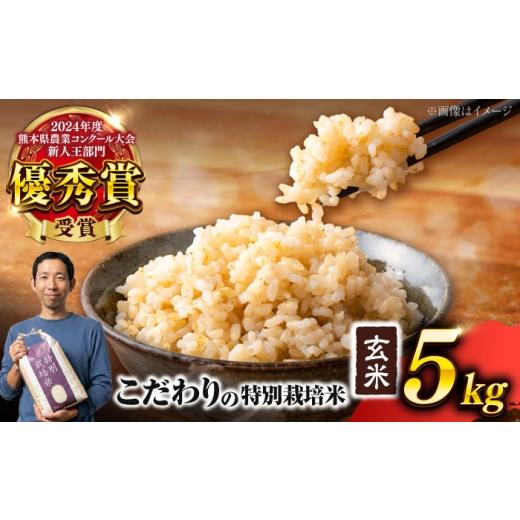 ふるさと納税 玄米 熊本県 合志市 令和7年度 くまさんの輝き 玄米 5kg (1袋) 米 こめ コメ お米 げんまい 坂本農園 AYCC020 通常発送: 令和7年度