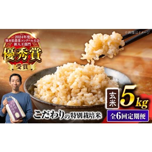 ふるさと納税 玄米 熊本県 合志市 令和7年度 全6回定期便 くまさんの輝き 玄米 5kg 計30kg 米 こめ コメ お米 げんまい 坂本農園 AYCC026 通常発送: 令和7年…