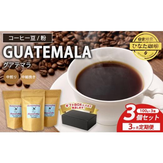 ふるさと納税 コーヒー コーヒー豆 愛知県 幸田町 粉 3カ月定期便 コーヒー 豆 粉(グアテマラ 中煎り 中細挽き)100g × 3個セット | ミディアムロースト ギ…