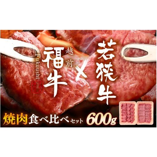 ふるさと納税 牛肉 焼肉・バーベキュー 福井県 坂井市 若狭牛 × 越前福牛 潮風育ち 極選焼肉食べ比べセット 600g (各300g) 焼き肉 国産和牛 ブランド牛 黒毛…