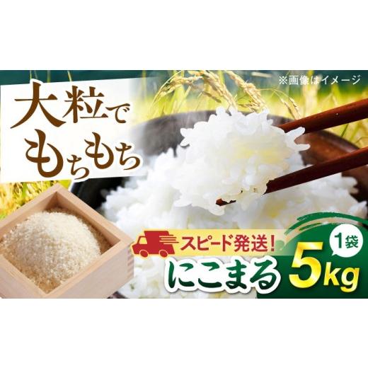 ふるさと納税 米 にこまる 福岡県 糸島市 5kg 令和7年産 スピード発送 にこまる 玄米品質1等米 白米 糸島市産 糸島市 / 糸島の恵み AGR001 お米 こめ コメ …