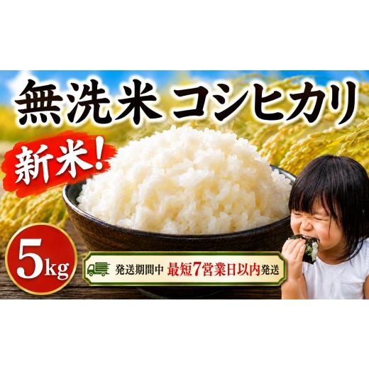 ふるさと納税 無洗米 千葉県 香取市 無洗米 新米 コシヒカリ 5kg 令和8年産 先行予約 数量 限定 9月下旬から順次発送 むせんまい しんまい 米 こめ お米 5キロ…