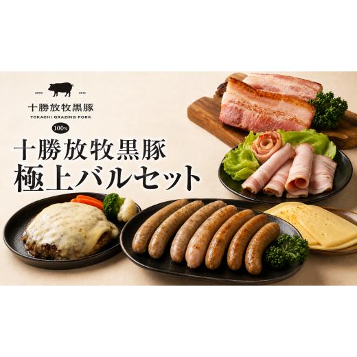 ふるさと納税 豚肉 ハンバーグ 北海道 鹿追町 数量限定 十勝放牧黒豚 極上バルセット ふるさと納税 人気 おすすめ ランキング 黒豚 自然放牧 ステーキ ハン…