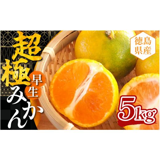 ふるさと納税 果物類 みかん 徳島県 三好市 みかん 選べる 5kg 蜜柑 超極早生みかん 極早生 柑橘 フルーツ すっぱい 甘い 果物 オレンジ オレンジジュース デ…