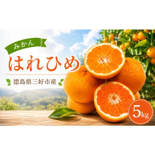 ふるさと納税 果物類 みかん 徳島県 三好市 先行予約 みかん 5kg はれひめ 晴れ姫 蜜柑 柑橘 フルーツ 果物 オレンジ ジュース デザート おやつ ケーキ アイ…