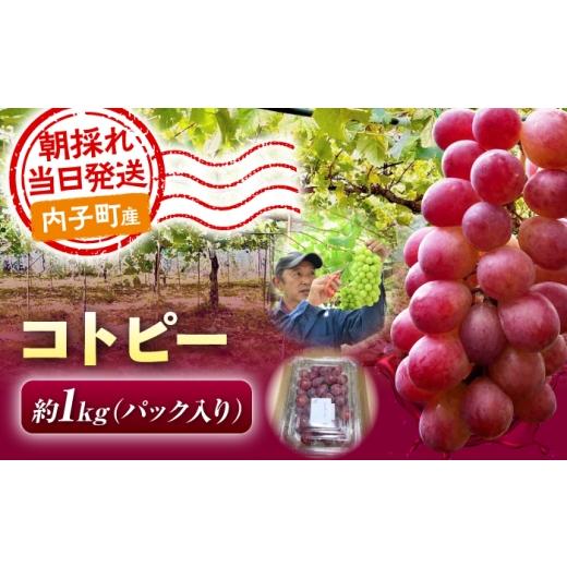 ふるさと納税 果物類 ぶどう 愛媛県 内子町 ぶどう コトピー ( シャインマスカット × 甲斐乙女 ) 1kg 愛媛県内子町 / 井上農園 / コトピー 赤系ぶどう シャ…
