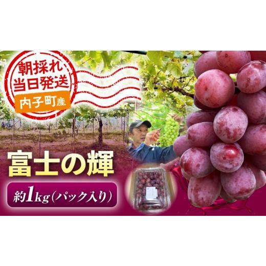 ふるさと納税 果物類 ぶどう 愛媛県 内子町 ぶどう 富士の輝 ( シャインマスカット × ウィンク ) 1kg 愛媛県内子町 / 井上農園 / 富士の輝 ふじのかがやき …