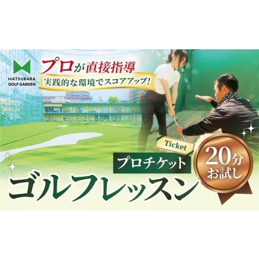 ふるさと納税 体験チケット 埼玉県 草加市 ゴルフ レッスンプロチケット(20分お試し) | ゴルフ 利用券 お試し 練習 プリペイド 埼玉県 草加市