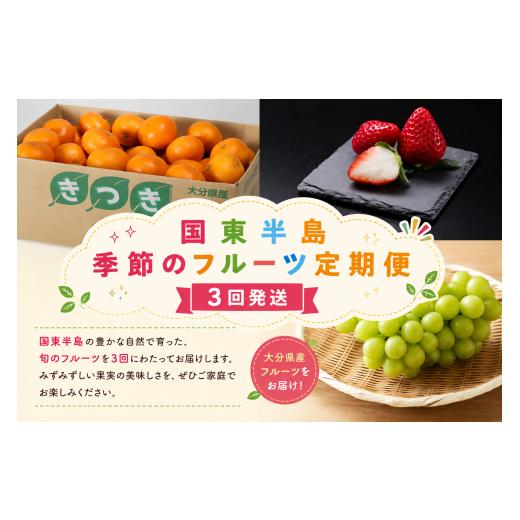 ふるさと納税 果物の詰合せ 大分県 国東市 国東半島 季節のフルーツ定期便 計3回発送 シャインマスカット おんせんミカン ベリーツ 国東市 杵築市 豊後高田市 …