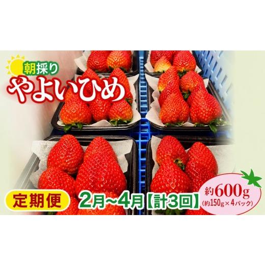 ふるさと納税 いちご 群馬県 前橋市 いちご やよいひめ 150gパック×4パック 計600g 計3回 定期便2月〜4月 2026年全国いちご選手権入賞 2027年 先行予約 | コ…